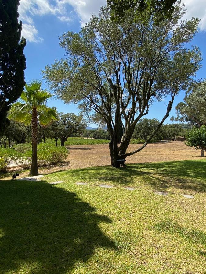 Villa Provencale Familiale Avec Piscine Grimaud Extérieur photo