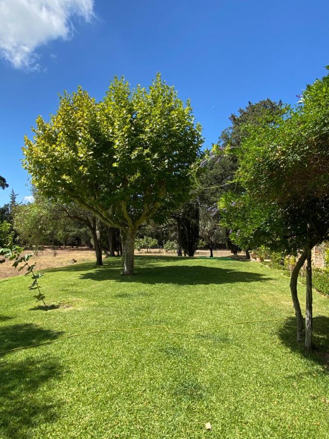 Villa Provencale Familiale Avec Piscine Grimaud Extérieur photo